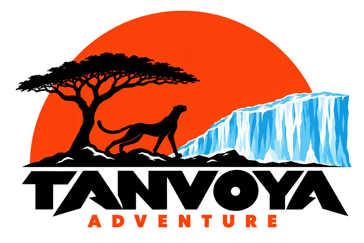 Tanvoya logo: sunset, acacia tree, cheetah and glacier